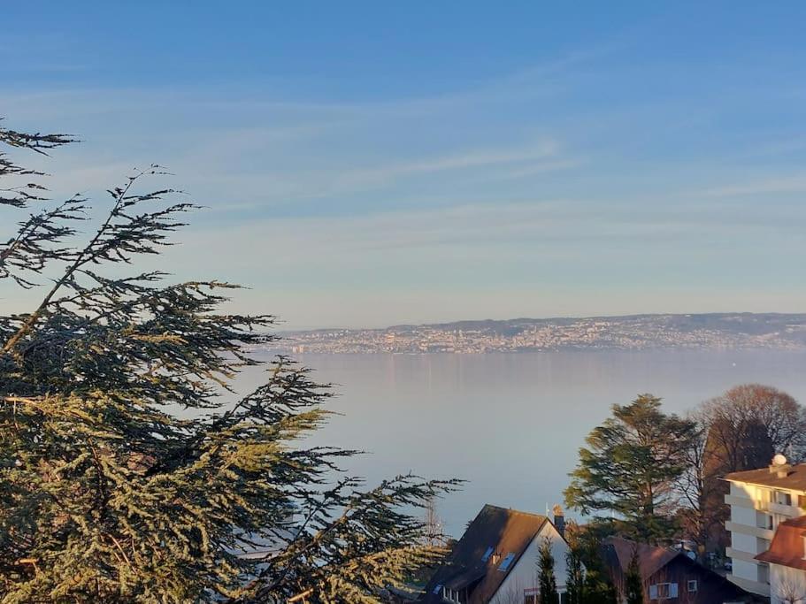 Le Mirabeau Vue Lac Évian-les-Bains Buitenkant foto